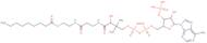 Nonanoyl coenzyme A sodium