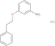 3-(Phenethyloxy)aniline hydrochloride