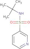 N-tert-Butylpyridine-3-sulfonamide