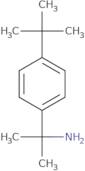 2-(4-tert-Butylphenyl)propan-2-amine