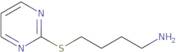 4-(Pyrimidin-2-ylsulfanyl)butan-1-amine