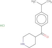 4-[4-(Propan-2-yl)benzoyl]piperidine hydrochloride