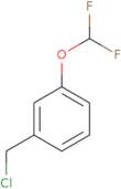 1-(Chloromethyl)-3-(difluoromethoxy)benzene