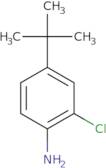 4-tert-Butyl-2-chloroaniline