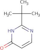 2-tert-Butyl-3,4-dihydropyrimidin-4-one