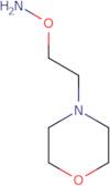 4-[2-(Aminooxy)ethyl]morpholine