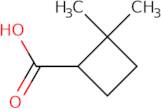 2,2-Dimethylcyclobutane-1-carboxylic acid