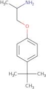 1-(2-Aminopropoxy)-4-tert-butylbenzene
