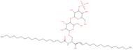 c18 3'-Sulfo lactosylceramide (d18:1/18:0)