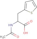 2-Acetamido-3-(thiophen-2-yl)propanoic Acid