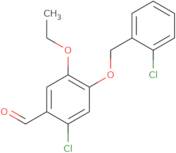 2-Chloro-4-[(2-chlorobenzyl)oxy]-5-ethoxybenzaldehyde