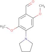 2,5-Dimethoxy-4-pyrrolidin-1-yl-benzaldehyde