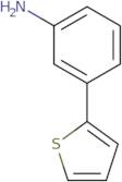 3-(Thien-2-yl)aniline