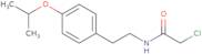 2-Chloro-N-{2-[4-(propan-2-yloxy)phenyl]ethyl}acetamide