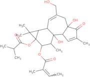 12-o-Tiglylphorbol-13 -isobutyrate