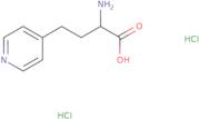 2-Amino-4-(pyridin-4-yl)butanoic acid dihydrochloride