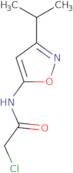 2-Chloro-N-[3-(propan-2-yl)-1,2-oxazol-5-yl]acetamide