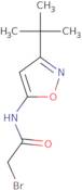 2-Bromo-N-(3-tert-butyl-1,2-oxazol-5-yl)acetamide