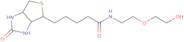 N-[2-(2-Hydroxyethoxy)ethyl]-biotinamide