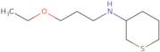 N-(3-Ethoxypropyl)tetrahydro-2H-thiopyran-3-amine