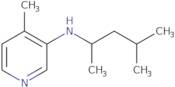 4-Methyl-N-(4-methylpentan-2-yl)pyridin-3-amine