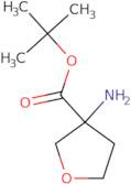 tert-Butyl 3-aminooxolane-3-carboxylate