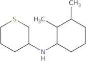 N-(2,3-Dimethylcyclohexyl)thian-3-amine