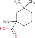 1-Amino-3,3-dimethylcyclohexane-1-carboxylic acid