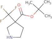 tert-Butyl 3-(trifluoromethyl)pyrrolidine-3-carboxylate