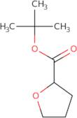 tert-Butyl oxolane-2-carboxylate