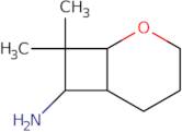 8,8-Dimethyl-2-oxabicyclo[4.2.0]octan-7-amine