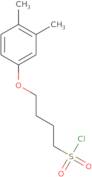 4-(3,4-Dimethylphenoxy)butane-1-sulfonyl chloride