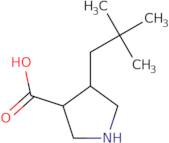 4-(2,2-Dimethylpropyl)pyrrolidine-3-carboxylic acid