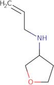 N-(Prop-2-en-1-yl)oxolan-3-amine