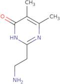 2-(2-Aminoethyl)-4,5-dimethyl-1H-pyrimidin-6-one