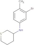 N-(3-Bromo-4-methylphenyl)thian-3-amine