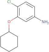 4-Chloro-3-(cyclohexyloxy)aniline