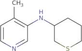 4-Methyl-N-(thian-3-yl)pyridin-3-amine