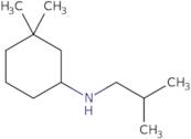 3,3-Dimethyl-N-(2-methylpropyl)cyclohexan-1-amine