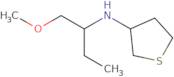 N-(1-Methoxybutan-2-yl)thiolan-3-amine