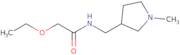 2-Ethoxy-N-[(1-methylpyrrolidin-3-yl)methyl]acetamide