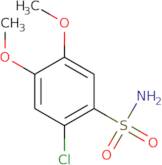 2-Chloro-4,5-dimethoxybenzene-1-sulfonamide