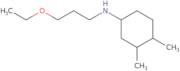 N-(3-Ethoxypropyl)-3,4-dimethylcyclohexan-1-amine