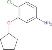 4-Chloro-3-(cyclopentyloxy)aniline