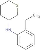 N-(2-Ethylphenyl)thian-3-amine