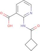 2-Cyclobutaneamidopyridine-3-carboxylic acid