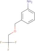 3-[(2,2,2-Trifluoroethoxy)methyl]aniline