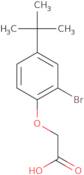 2-[2-Bromo-4-(tert-butyl)phenoxy]acetic acid