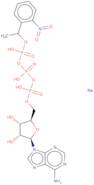 Adenosine 5'-triphosphate P3-[1-(2-nitrophenyl)ethyl ester] trisodium salt