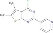 3-{4-Chloro-5,6-dimethylthieno[2,3-d]pyrimidin-2-yl}pyridine